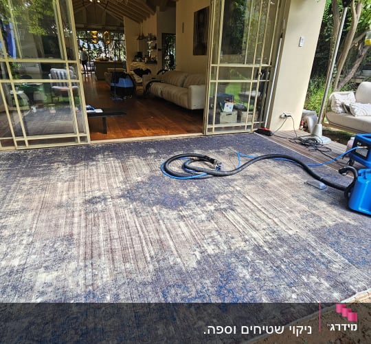 מכונת ניקוי שטיחים כחולה על שטיח בחוץ ליד ספה